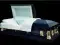 Luxurious Metal Casket